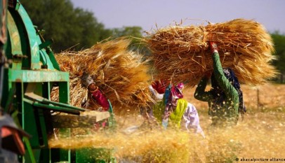 حرب روسيا على أوكرانيا تحول القمح إلى سلاح